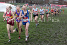 Senior girls 2019 New Balance English Schools Cross Country Champs, Temple Newsam, Leeds. Photo:  David T. Hewitson/Sports for All Pics